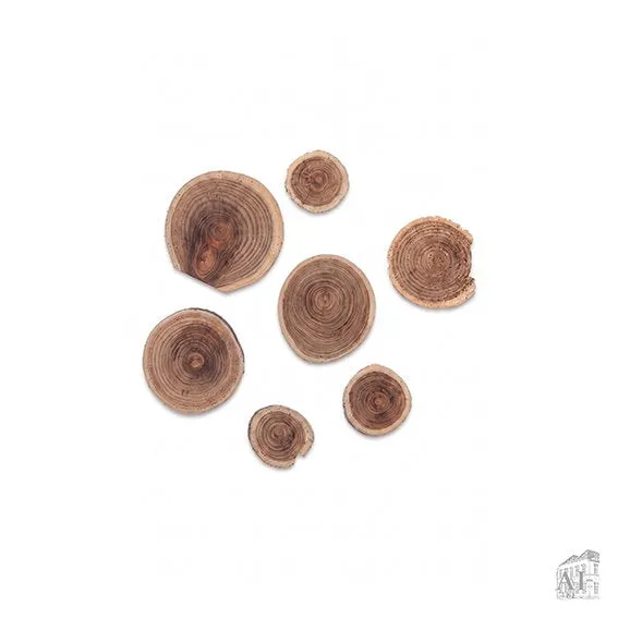 Det Gamle Apotek Wood Pieces dřevěná kolečka 25 g