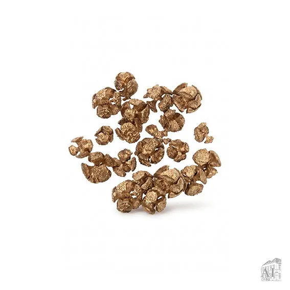 Det Gamle Apotek Beech Nut přírodní bukvice 20 g