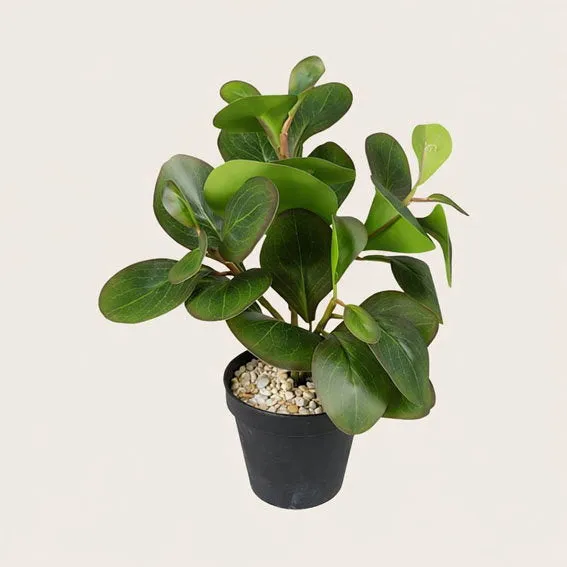 Det Gamle Apotek Artificial plant umělá rostlina 31 cm zelená