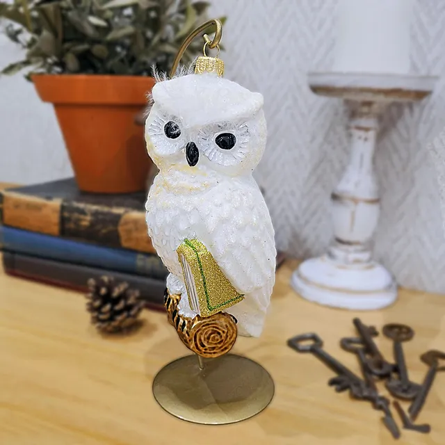 Vitbis Sova s knihou skleněná baňka 16 cm 1 ks