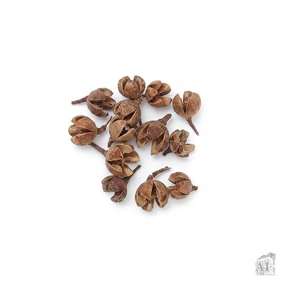 Det Gamle Apotek Beech Nut přírodní dekorace 15 cm