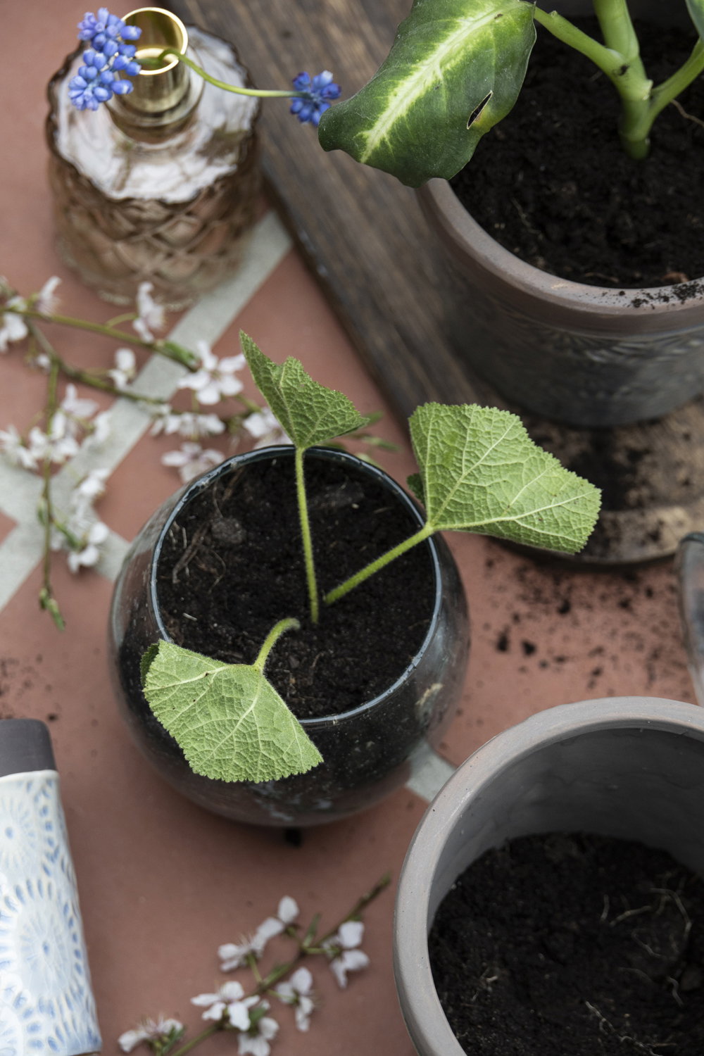 Det Gamle Apotek Flowerpot květináč sklo 10 cm